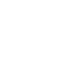 search-engine-optimization